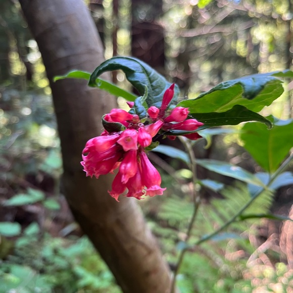 Meet your Posher, Erin - Picture 1 of 1